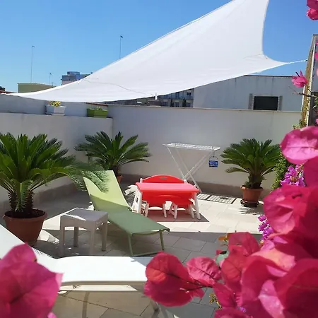 Torrente Antico 트라니